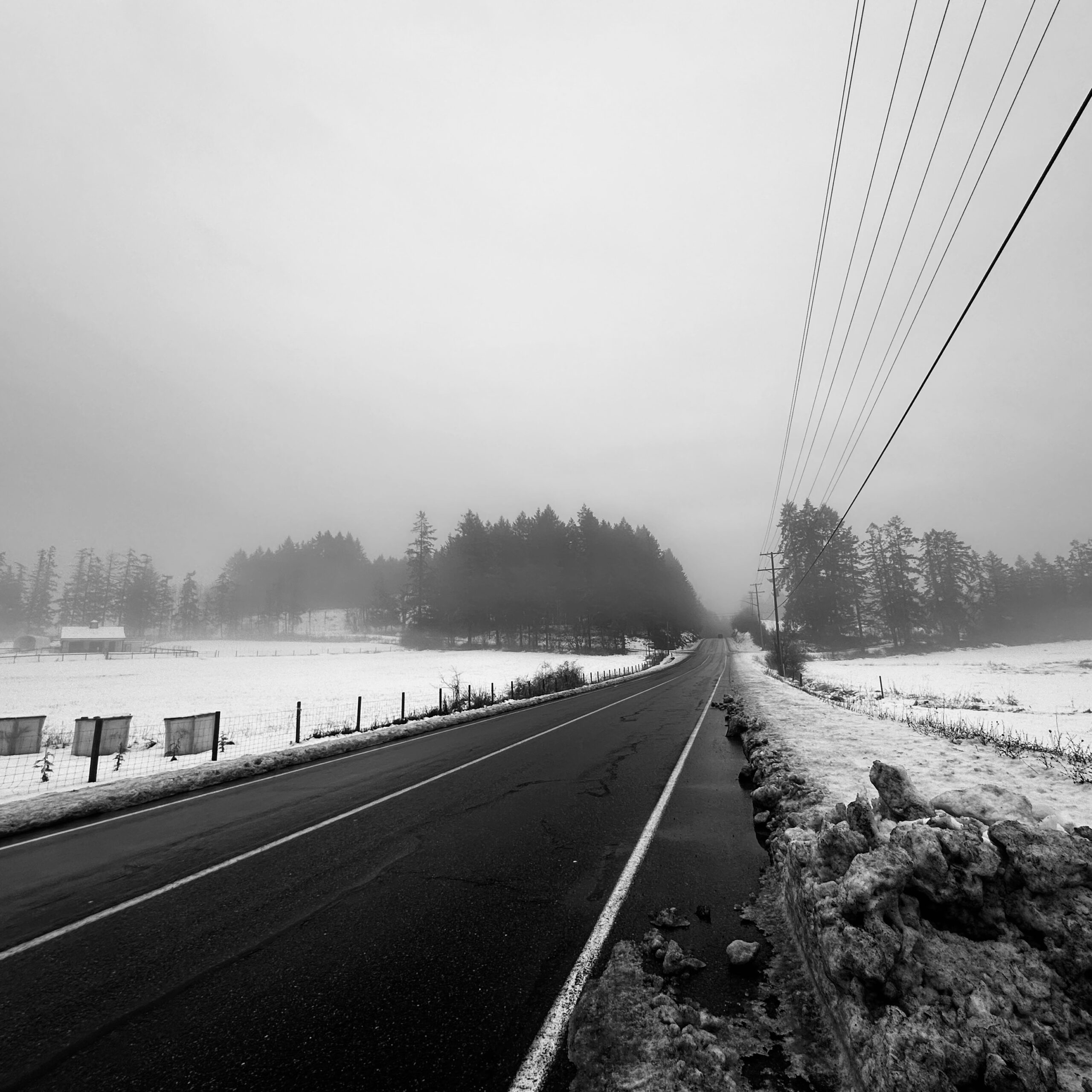 tafony 3p album cover